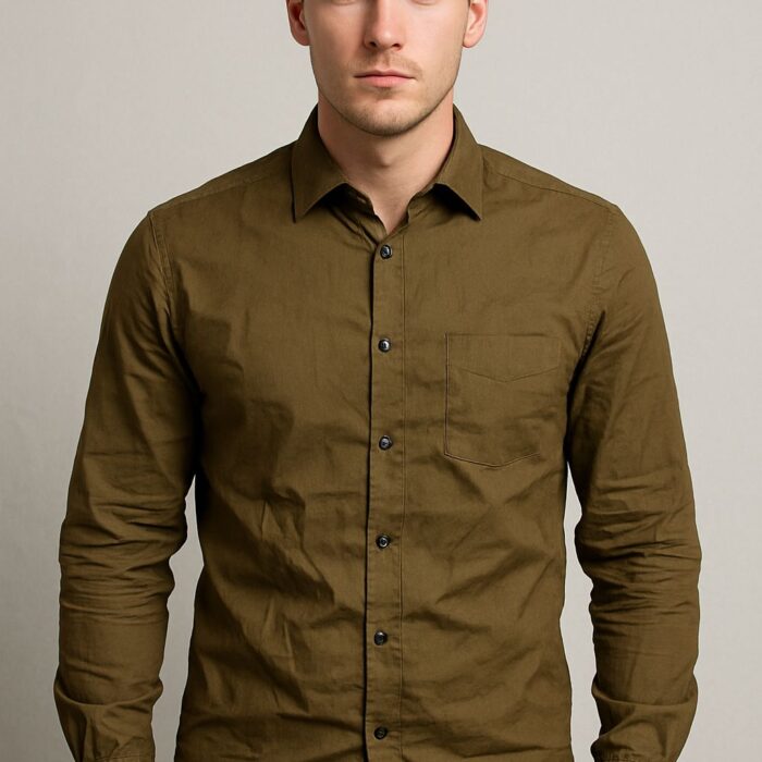 Men Regular Fit Striped Button Down Collar Casual Shirts